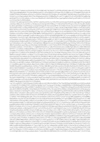 Lj6hy9V+X17
hy5GvH1KcflTthVPMCvN2/NjUbOG7lv9F9RLd9ZkEltMv+82i3IhlYq4rzo60odz
/KOiqjbfmNqN
vfy2mr6RHdalpd031+4SaIpbQ3L24T6qwiDScYr6MHlxJo1T0wqmHnf8yLvQL+R
YLNX03TZEOrXT
yUkIe2lufShh4/F8EVeZcUO1DvQKsj8+ahH5NXV7XQJNPuRq1rZyaU0bo0ovLu
ISvAJ1sjzlFweL
SKo57mo3KqhpHnbzX5h13VNMg9Hy9+ieU7C+gWd3j5cFik9O49NfT4lpWRz9p
em9SqZP5v1tPJNj
riJbvczalBaXKuGCiGbUhZEoFP2wrjqafqwKkOnfmb5yudTtbNtLi9J9YvLV
roI4iks45p7e3RGZ

+K3DS278tyAErQchhVOvPPn/AFTR/L4m06xjbVZtJutVKzTKYreO2SLmeUYdZ2ElwgCqQG3PLxCq

;mkfmal8NeuZtJurbS9GiuJ4b4pLxuUtGdJgnOKJOYMeyo7+5B2xVLbT829TngtJJfLc9l9auWtjN&#x
A;dG4igHIRGAo72yH96Zwq+osakghGY0qqv8tfmreaheeW7K/0tY5NdtYZJbi2kldIZ57d7qNHBh9J&#
xA;RJDHzVfXLiv2SByxVEXP5m38euy6JFon+nvdvaaalzcNbicRJNJJOWaFkEXC3PExtJuVVuB2CqD0&
#xA;D83kvrO5vZrNjCyx3VqoKoy2872saI/2gXBuqk+2FW5fzU1IDT7hdKSO31iBpdHjacM03q3VpaW7

TmifVvjvKuvF9u9RTAqp5Z/Mq/ubiy029sGlkS4/Rmp6iZo6i9D3ER9OJI1V4jJZv8VVIUrsd8V
T
zzP54TQrzTENoZ9OvyPW1MM4hiVmVUAaOOVS7l/gDsgborFvhxVKdP8AzVa48oaj5judEurSO0
MP
1OB0nrcpdsqW7JygRzVnAbgjgfsl8VUD+bF4bBVbQpbPWZ7K7vrezumaNAtkJhJ6nqJFKPihX
gDG
C6uDtR+CqH/5Wnd6dpUgXy9HE9k8Nu1tFO3B5ZbRL4rbxW8FxKaQyFz8FBvUjc4VZzoHmK01
u39a
2guYVEcUhNxBLCpEyc19OR1CS0HUxsQMCoP/AKV3/bw/5m4VZBgVhSa5+WlvrNw8ltbWuqX
d3Pp8
8zWw5yyMY45fVdFbgkjcF5SlQxpiqHsNf/J23hgtbBbCO1mVfTENoRBxlkDx83WP00EkyD
hyI5OK
LVhiqJ1DWvy71DStQ84Gxt9WbQ4JGlne1H1kRpEZQqfWFRuLpJVD9kg7HFUr0PzT5Mjgs
dMsfLkd
nps09pcyiD6hJbQz3d00NjNW1lljkZ57bZkJK0FcVTPzNqf5WQagbPXra1lu7eU3RSSx
e44zNGrs
/JYnX1DEoc714qW6KSFVeG48ia/oMcF9Y2h0k6jd2lrbXMcTQPcWks6tJGN0+MRSOD4
HFVTU7/yI
2nWemzNFHbaukl1YmCFiE+s1LXXJUZYOTXBPqvxHJutcVQN3qP5can5TW4Fhb6xpOi
vFaRWk1tvD
z4QIFjuUUgenIpBpRl3FcVUvL/m/8sJJor+GG203VfMEFvPdcrcI8hu1V0imnVPTa
Q+qGKl60+Ii
m+KuSb8m9LvLdY7HTrOS0Nzd2l0tj6cKSW/P6w0dyIhF6iC2YlVflRK0oBiqy01f
8mNPvorm0g0+
1urNXaC7jsjGI6q8zIkwiChzHI8nphuRU8qcTXFUZcRfldc6Jfa7LpNrc2F9NXU
XGnPLNJPHIVPr
QLC05dHrXklR198VRN5F+Wb2dlqN1a6bJaNDJqdjcNBGyCKKNJJJ0PE04xqhJ6
7DwxVR06D8r9Qu
tVtrDTbGa4QT/pJBZhRLykCXHxvGqS/vIAJOJPxAV3xVKbPzP+Vd55SjuRbLp
llPBAJY47GRJLQS
wMYnYxwkRpGkjhZ/7vrRuuKro/M35fS3mhRNpdsJ9PmuLW1nuYgxsIrGaa1j
YShJAhlktaRIWXl2
3FMVTbRZvy2l0DVpdIsbU6QxY6tbwWLD1eSB6tbiIPKHRwVohDD7NcVSW18
2/lZaXMGnadpUC6eL
dbp54LHisZMstvHEIFj9dpjKJUKBOQJbxbCqJ/SX5MxaVJYxWdjNpiyRXU
9nbWD3EayNGrxyyRRQ
vxYRsu7DYde+BWcWElg1pCLBozaLGnoCGnARlRw4hduPGlPbFUn/AOld/
wBvD/mbhVkGBXm6/ltp
d7r8V7rdxBD5innuNRS1t0trtfq6vCCFa8t3ccH4fvI1RhypXviqZN+U
+ifVLKyS+vY7S1tLKyuI
UaGl0mmyGW0aYmIsGjkYt+7K16Go2xVMdG8taSulXY0jUJjHfww2wvE
MMhX6nELUFA8bRk/u/i5K
QT2xVJm8leUdGvY7m91qSOaELqWpxTPbILs2ty9xFcTIsSlVhuLklf
R4LUgGuKrtR0vyHrOrQXLa
0Press89pFFNFSTlYzaceAKk/Ylfr+2PYjFVfVPy0s5fJMnlWzlZr
ee9F09xcORIiy3n1mf02iVT
y4M6p067nriqv5h8meXPNd5bxS3TKuhuIJrO2EClSyJKIjKY2uIQ
0bJyEUi8kNDUYqh/L/kDyzaa
HqXl6xvGmgFzCt4YorOCSKSARTpG31aCFWbhwLM4ZiD1xVB2v5J
eVbZjwmmZWslsZC0do0x4Wgs1
lW5MH1iNljRSFSRV5Dlx61Vb1H8lPLF88TNdXUaw2RsEA+rs/B
rWW0Z/WeJpqsk5dlD8Gf4itcVR

+q/lfo+pXk0017eR208gumsY2hEX1sWosvrAJjMnL6uOHHlx78a74qjNU8gaVqOkXWlyzzLDd3za

;lISsEo9V35lDHNHJC8f+S6N49aYqhNQ/LLS7vy1pugJf3drBptlJpqXERhMsltPB6EqSepE6fGoG&#x
A;6qCOxGKpjpPkrTNLuDPBNO7tHeREOUI431215J0UbrJIQvt774qxGT8nvKOpaK9nLrN1dR2Ua6dJ&#
xA;dSfU3MUFnC8CQFWt/SUwCRmEnH1FYk88Ko2T8u/Koube2XVLv0NXmlvDZxGKSK6kS4lv45mcQuyL&
#xA;C9x8LB1U/AG5HqFTv/AGk/ofUdLFxcCLUoLe2mkrGWVbWFYYyoKFTVUHIMCrdKU2xVK9N/KLRNNh

ZbG/u4Lkem1tdRraqYZIrm4uleOIQCAfFeunH0+PGgAGKoeT8q/KNza3vl9b+4aU3Fvql7GTbyt
y
e3NorSRSwvCRKIHf4k2f4l40FFWYaH5c0bRLcRafaxQyNHFHcXKRoks/opwR5nRV5tTucVQP/S
u/
7eH/ADNwqyDAryW//K3zJPrd3fmGwuI2N2Z2knlSTUo7jULe7S3ugIWEcaQQmAULjYfDxNMKs
km8
nay3kC30Jzb3FzDMs01hJI4tZYBcmf6h6vAv6SxERKxj3Ciq0JGBWO+UPyr8yaP5u0/V7uWF
rW1E
nCK2uQiW8ciSKbZIzZ+pLGWcSf30a1341AqVTrzx5O8waz5lt77T4LQW0Fj6TTyzvHK8sd9
bX0cb
KsMn7vlZBCeR2kJptRgqCsfy68xxahFPK1qI767t7/Uyk0ha2e11W61RYbcGIeqrm89JmY
pspNN6
BVM/OnkK68w67bXxEElrALFfTmZuXGK99S7AAUj97al4+vxVKnY4qh/y+8veaPLOoz6be
RRXFnff
6VLfJJIwiFtaWlpDCOSLVmKOfZV98VQmteQfOEms6ze6bPbGDV5bhTHJcSw+nHNDp6rN
RIpAzq2n
uvHbZweXUYVYrd/lx5o0DTbu4u4P0+1xdIZbQSSTrdy+lcIl3JDbWIMTo8yOTJ6tSoq
44q2Ksx8m
eRfMGl65a6jfCBWjgpc3yzu91OHgjjS0lj9MII7d4yVYSN2oBVsCpN5r/KrzTqus6v
dWslsljfTJ
LLC86Ga7RTtC0kllKIo0+0EkE45AceAwqybWfJuq3XlLy9pfpQak+kGE32nX1y5gu
1jtXg4y3Kwc
n4SOsoJh+Ir9kdgrHx+VnmGS/dphZrbSXPO+lWeZ3v7eTVILz07hDGoAtrWF7eMc
m5Bv2RthVKbn
8rPMtld2NpDZWuoWl1bpFcQNNNHbJcxRXKG5lYQyfEqyQBDxqeAG3FcVROofk15
nu9StpLjUEu7V
JndmNx6LoXmLvOeVrcO7TRnjIiSR1pQuQTRVNPLn5b6/Yaho08ttZWosFgDXMF
1NLLAluHWaCBWg
jDR3Zf1Hqy0JIo3FTiqa6p5L1+5/M7TfM0L28en2lEldWEc7QmCZHhdRAzyD1
XRxWcJ/kcviwKp+
b/IfmLV9Xu7izv0XS5Y4rhdOlklQS30ZWGRJGUOFt5rNTEw4k1blTFUjsvyz
85WF2+oWJsoC3ARa
Ul1OsEUTLqUfoLKIWPC3Goxsn7uh4kALthV6F5X0W+0rT4obzUJ72X0II2i
kMRihaKMIwhKRxSFW
O/7wscCqH/Su/wC3h/zNwqyDArzHUNX/ADKj124e3e5Nik1y0NqLJGjaO2
vreCJOfp+oRNBcyOTy
r8FVIo1SqT6T5j/N6+tJ1uZJrW5Almb07CRnhljtpZfq3Ke0giZTKiIOH
qdf7w1U4qyXzt5i862c
vlx9HtbnncBJNRhjgaWFi7wq0Lhbe4kQqru28kQoD8RIpgVhkl1+Ymh2
l1c6fFqBvdRitb15Pqzu
EmZr71Lbh9WvG4v6MTH4A3J6tIoYYVR13rH5g3fmGzumt7/61FIY5dL
 