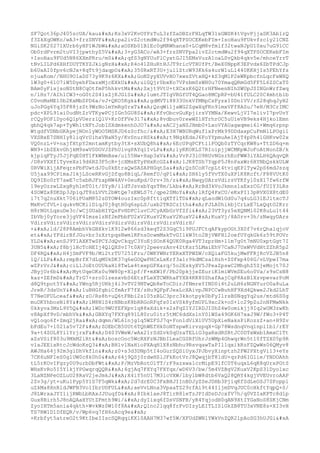 SF7Qot36pJ405zcUA/kau
Ks3xV2KvOYPzTuL3zfZaDBZrFHLqTW31sGWSK4tVgvPjjaSK3Ab1rQ
f3ZkXqOWKo/wA3+frzSNVF
pa2ivZ2ctmdWu2f94qXTPSOCEKebFIm+IsoHau9FUkvfzc1y21CNZ
NGiSK20271XUrb6yHP1WJbW
aOSKb01BlEc0gMRWhanx0+LCqM8vfmlf32twaNJpU10xu7uG91CC
Ob0rdFvrm2tuVI3jpwthyZ5V
3+yG3ACo/wA3+frzSNVFpa2ivZ2ctmdWu2f94qXTPSOCEKebFIm
+IsoHau9FUd5N86XXmPRru/m0
qfS3gNYUuFlCyxtGJI5EMsVuzA1oaLSvQkb4qkv5e/mhceYrrT
tNvLILPd6XHfDUYTKYZJkigNzH
R4o41ZHuRtHJJT9ricVTHUfPt/BeX0NppK3EFvdx6ZbTPdCJp
b6UxAI0fpv6cNJx+8qTt9jdaqpO
350RxRT3U+jullZtcW93Kk6s4urW1uLl440KKHjIs5FEhYfs
njuaKom//NHU9O1aDS73y9K9z6KX
GoNZyyXUVvHO7xwsZVtxHQ+kS3qMlP2eWKpbcfnLqcFxWXQ
1W3g0+61O7iW5DyehFDazxMjcEXkU
uiGQjr0bxKo7VPzbm0zWH0u70YmaqQRmGd5FF5L6ZSCaT0
BAm0yFisjsoNStN8CqOtfmP5hhkvtM
Sxjt9VtU+tXCxzK6Q2trHFNeenNIhSWUpJSINGnWrfZwq
n/lHz7/AIh1CW3+oG0t2S4lsZjKJGlS
1umtJTIgVRGfUT4QGao8MCpRP+bU41fULC20C4mhtblb
C0vnMsME10b2KxMbSPD6a/vJ+QKO5Kgk
gdMVTi8833UnkVfMNpCsFyzxI0Dn1VV/rS28qhqJyH2
uJoPGg6Yq35F88jzSt9WzNo1mYmRg0rxT
QzqWiljaWG2ZgwXqFKn9lmxVFf8ASu/7eH/M3CrIMC
pdc+XPL91ai0udNtZrVTKywPCjIGn5GU8S
KfvObcvGuKpjirsVYMNa/KewvLjVI7e1ivI7pvUvY
rCQyPOFlDyo6QlpVUerzlQlV+KrDfFVe317
8vdbuv0rewWZ1HTrhrOC5uUieVB9eks4Hjko1Emn
gbhQ4qk7ap+TyWhltNFtJobISXdmkenhDJO7
xAC2jaNZJHmb0+LxoVYAUagwqmei6l+Wmq6rpnp
WtgdfVDNbGKAyejNOn1yWOO5MSKJD6zScfhc/
E3H7WBURqWuflxPrMk99DDdaxpCuFmNlLPOgil
VXSBxE7SNHIy8liqVrUihxVBaN5y/KvSnurHSk
t9NgkEdxJ6FoYYpmuAeIAjT4pPh4lGHKvw02x
VQ0nzL+V+najfXtpY2mntamKytby3tX+sXUbQ8h
6EcUPqPCFtiiFOQb0zTYCqrKW8u+TtZD6q+m
WN9+lbZEkvGhjkM9swV0DOVJZPhUivgPAYqiIvLP
lyKKOKLS7RIoipjjWCMKpWJoFoAtNonZB/k
kjpiqFTyJ5JjFqE0HT1FkWNmBaw/ui55Nw+Hap3xV
VvPJ3lO9RUvNGsrhEoFWW3iYALH6QAqvQR
/D8sVXXflTyveXs19d6RZ3F5cR+jcXMsETyPHxKcGZ
lJK8TSh7YqpP5J8nPaxWr6HYNbQskkULW
0RVWiXijAFeqrsPbFUwtdJ0u0kEtraQwSASAPHGqtSa
QzSCoH7cpLt4tviqEPlTyw2pS6mdJszq
U5jaa99CP1maJ1kjLSceRKvGjDfqo8BiqL/RemfU/qP1
SH6ly5fVvTX0uXP1K8Kcft/F88VUtK0
DQ9IEo0rT7awE7c5xbRJFzapNW4AV+0euKpd/0rv+3h/z
NwqyDArsVdirsVYKfyl0sX17fw6rfW
19eyOzzwLZxgRyhlmT01t/SYyB/ildTJsvxbYqsT8m/Lkb
RrBd3kVoJkmns1aExzCG/fUIY3LRs
4SOWZx8DKSp3JpiqJT8sLVVt2bWtQe7sEWLS7t/qpe2SMoY
lRfQ4PxCU/eKxPI13pRVX0X8tdE0
i7t7q2nuXkt706iPUaM852sDYOW4ouzIxc0p8fttiqXTflTD
qLaodW1Gd0u7q4uLG3iEJitxcTJ
MxKvCfVL+iqukvNCKilDiqJ0j8qtH0q6spLS/uxb2TRSCzIth
FJLA0hikbjCrLxE7LxQqtO2Krr
H8rNGtLqxuDe3c/wCjGUabHIYQsFvHDPCluvCJCyAXbGrVfZfi
23VT3yz5eXQNMi02K8uLu1t44
IbVbj0yYore3jgVF4ImzelzNf2mPbbFU2xV2KuxV2KuxV2KuxV2
KuxVj/8A0rv+3h/zNwqyDArs
VdirsVdirsVdirsVdirsVdirsVdirsVdirsVdirsVdirsVdirH/
+
ld/28P8AmbhVkGBXkvlK912w866zd3keqT2S3GqC5i9PUJFCtqAFkypOGt3X0f7v6rQhalqjoV
et
YFdirBfJGu+br3zXrtpqsNwmlRFnsDcwmMxkTvGIlkW3to2BjVWFHl2oefUYqkGk6z59tPOVr
YLD
enSJ9T1AXKTwSPCYJdQvCkqyC3YoEjSOnK4QUK0Rga4VT3zprHm+11m7g0t7mNU0xptGgt7I
3UN5
f8bjlHcTcHEIj4QlQXSvI7t0AVj2peevzAnv4ZtKsr5LMaiEhV7CaNJ7UxWVVdHtZZhR5p2
DF4RQ
H4jSmFVF9b/Mi2trTU7251Fru/0WKYWNrYERxXTPWZW/cXQiaFG5kujMwFFRjRcVZJB5n8
1Q/lLP
rmpBrfX7dLgM0kDK37q6eGOQwPHCxLxKrf3a1r9kdMCsa1Hzh+Z0Fxp406G/vLVpwI7ma
wZPrVrJ
ciL1JoEtOUUkaHl8TwLx4txepGFXarq/5o2EskyXV5JPeaZpswC2MhghZ5ZjeMojt70J
JByjUr6b
MytUqeOKs0u9W80p+Xlpf/F+mXW1F/Pb20pkjjeZEuriK1miWVmSEu6o0Va/s9sCsN8
kaz+ZEfmD
TrG7+sro0lzesxvbS6EtzFLeXTCWRhaFYXX4KK80ShafAajCqP8AzB1XzvpevarPoM
d8Q9tpot5Y
YWng5RjUHkj4i3vTV29NTwQb8eToCDirJfNmreYIND0i4t2uLH6zNGNYurO0a8uLa
JreR/3dsUnY
1uBHGfgbiCfmArF7fX/zHu9QFpFJexLcXAivpJNPCCwBuhHF9Xd4Qkwe2Jkd2LhT
T7NeOFULceaf
zO/Rs8h+uQ6tFBbi2s105zBLC3prc3kkotpyk0bFyIlrsBSNqgYq2us/mtd6S0g
muDKYhbosNi8Y
lM8N1S4rNBbzK8bRRGoRFqfs0IxVSk8yfmUPL9xc2k+oS+lc29pZu2nNFMwNkk
0kkyva3MzL9Y5Q
1WDc9WUfEFXpvlq88xXdik+s2sFqZIYJIRDJI0hZ4w0omikjj9Iq2wUM3zwKh
v8ApXf9vD/mbhVk
GBXYq7FXYq891L80ru0itr5tMC6ddXs1nY0lWSa49GK6H7xaJ9W/fWo3+P4T
vQ1oqo6f+Zmq2jRa
dqmn/WL61njg1q5WZFSJ7q+Fon1dViX1UV5UpXieNaksPiKozzZ+an+H9Zv
bFdEu7+1021a5v72F
ZOEbCB50Ut6TQhWEfHk0oNTspwKirvzpqX+Gp78WsdnqVnq1npl1bl/rEY
9a+t4ZOL8Yi1YrjrxF
D403VWeW/wAx21rSdZvk0qUzaTELiG3gaRxdRSRtJC0DTxWxb1AmxClTt
xZsVSif803u9MkM2iRt
boscOoc5WcRXFzNJBbILeaCGSRfUhrJzWMp4GhwqrWn5t10fTZX05p9R
vlaJEEixRtcJcWdoKsQ3
BHlv1NaHioPXAqH1X8zNbhu9RsvqawTaPIl1qxikRzFZQwWs06QMyv8
AWJHa64j92m3g1DhVkfln
z0+s3d3DNp5tI4oGurSQSiUyxJPJbvyXinptzh2FW2PXtgVi13+eYs
7CK6uNFIeS0g1UW0c8k0h0
64j9QSj0rdwHSlJFkKotVrJ8QwqjbT81dU+qzPd6IGlie/YNDOAhh
tL5rKOvIFgzy0U9urbDbFWt
P/MzVbRotO1TT/rF9azxwa1crMipE91fC0T6uqxL6qK8qUrxPGtS
WHxKvRo5I5Y1kjYPGwqrqQQR
4gjAq7FXYq7FXYqx/wD6V3/bw/5m4VZBgV2KuxV2KpS3lDyo1xc
3LaNZNPeOZLuU28RaV2jeJmkJ
X4iY5nU17M3icVXW/lby1bW8dtb6VaQ28QRY4kgjVVEUvroAAP
2Zv3g/yt+uKu1Pyp5Y1S7F5qWk
2d7drE0C3FxBHJIInBDJyZSeJDHb3PjiqKfSdLeOSJ7SFoppl
uZkMa8XnRldJWFN3Vo1IbrUDFUL
aeVvLNna3VpaaTZ29rfAi9t44I1jmDVqJUC0cHkftYqpQ+S/
J8LWrxaJYI1ijRWbLbRAxJJUuqfD
8Ibk1aeJ8TirR8leTzJPIdDsDJcxfV7h/q0VZIaKPTc8d1p
Gux8Birh5J8nAQAaHYUtZFmth9Wi/
dyIixq6fDsVSNFB/yR4YqjodH0qAN9XtIYGaNoS8SKjCNm
ZyoIHTm5ania4qkth+WvkWz0W10f8A
Qlnc2lqq8frFvDIzyLEITLISlGkZB8TU3xVNE8s+XI3vH
TS7RW1D1DfEQR/v/Wp6vq7fH6nAcq9e

+Krbfyt5atreO2t9KtIbeIIscSQRqqiKX10AAH7M37wf5W/XFUdZWNlYWkVnZQR21pAoSG3hUJGi

 