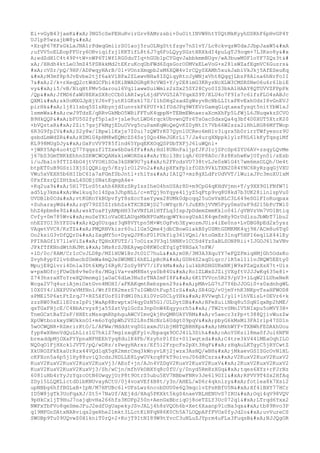 Ei+vGyB43jaeK
3NG5cSePEHuRvirGrv8AMrzsbi+0uO1tINVW8htY0QtMkKyyhDSRhF6pHvGP4Y
UJlpP5wzajbW8y

+XrqP67KFsGkLxJNA1rPdeqGmiirSO1aoj5ruOLNgSttfzgv7nS1vY/Lc8ckvqzW0dxJJbpJaxW5

;ufVV5oELEopFFUry6ORviqifzj1KKTifL8t6J7q6FoLQyySGztHRXkdI4puLgTJ9oqm+7L3Kso8y&#x
A;edZdH1C4t49P+tW+nWP6T1Wf1RG0duTIq+hGUb1pCYGqvJabbkmmBUgv/wA3buwM0F1oYF7ZQz3t&#
xA;/HHdh4ktLeO3mZ45PSBkkMd2tEKruKcqUbFWd6ZqsGorO0MVxELeVoG+s281sWZafEgmVC6Guzrs&
#xA;cVSr/pQ/9HP/ADPwqyHArB/01+VOnzXmqpb2sM6XQW4vIrCQySXAMh5xukJabiVkJkj5AfESeuKq

M3mf8p9JvEvbe2tjf6akVlBPa2ZLxwvNHa8IZQiqyRtcJyWNjxVht8QqqjLbzP8Alna6hNrFoII
7
2/k+rXeqQ2ctWdGCFbi4SKiBWADGRgK9cVWS+Y/y2E8imG3KRyzNcXLW3CMSRSNeO6u6r61biE
vy
i5/vB/NiqHtPMv5daroul6VqllawwSuiWmiz2zSx25SY28Cyo0IS3bkAlHAAY8QTUVVZFPpPk
/Qp
JfMD6faWU8EKxSX8cCCb0lARIwyL6jdFVVG52A7YqxXS9T/KLU4o7F9Is7c6lfzFLO4sABJc
QXMl
sk0oMXGJpXjYJ6vFjutK1GKsk17S/I1hDHq2sadZgWsyvBcNbLLItxPKvExhUdzI8vGnEVJ
pirHk
1j8l1sbq5S1sRbynjdIunvzkF6PUY+kIfUdJPq9WYKVrGamqGiqtaeafysgt5nitYbW1sJ
1smmWx
cwJ9TdzE/qRRvGkMbO5WRiFFTuK4qppN+TEBmEWnaeraXcmXhFp5LfWjL6JNuqwkzSCVO
B9HkQQP
bFU502fyf5p1aS+jsLe9utLWD6rqckUbvwnQTr6TsOacSdxsQa4q3bf4D0XUT5XtrK20
+bVQztaR
2Zit7gsjFkMgjEDuUVvg5cuPamKqWoQeQvKZ0yNtIt7Vb66W2sza2iHhLHG86MfTWop
6R3G9fpIV
S2y8w/lBpwl1Kxjs7Z0ui7zQWTrK07Qyn1UCReo6mH1v3igrx5b0rirrTWfyesoz9U
gsbdLmWdZR
HZMlG4pHM8wEQMcZS4Ssj0Qo4NeJGKrLi7/Ja4urgXNppklylzFHL6lkKyTqsgiMf
KL998MUgDJy
GxFcVV9T85flnd65YpqEKXOqQSPDbTXFjJ6luWQnl+
+jWRY5Ap4uo4tQ77YqqxzflTZxw6bDa6fF
HdI8UNnFaijpfJFJIojSPcSp6ZYU6AV+zsqyLQvMe
j67bS3GmTNKkEhhnSSKWCWOQANxkimWORDx
YEcl3BriqA/6UP8A0c/8z8KshwKwjUfyn0i/sEsb
i/uJba1n9fTIZ4bG4jtVYOHiSOa3kSRW9U7y
h2FFodsVU738tvLJe0sW1G4t7wm6msOLQh/Ue4t
btpET0uB9GSziIXjSlQQRiqy5/Kzy1rOl2Vo2
pXFxFp1zfOZh9VkLTXN2084YNC6RyRzgqGjVXU
VWu5xVEXH5b6HIIbC61a7aFGmfSbJntl+rhlYs
IAIQ7+mz8gXLdFrUdVVT/lWuixJPc3moXU1xM
0FxfXsrQIZHtbxL4SOEjSNatEqmgA4e+
+Kq2ua9
5H17TLvS5tahh4RRXzSRyIssIheO4hnUSAr8D+m9CpG4qKHdVjmn+T/y9XX9G1FNfW71
ad5Ly3km
Wwlkuq3c14Spa3JhpNLL/c+mTQj9nYqye41jyZ5qFtp9vq8U8kd7b3UK28ilnlspVu0
UVDBlb0Cd
vtKGKnYkBUpvfyY8sXccYaeYywx28UMk0dpcqq25uOsVxBLC3L649eSGlFIoRuqpax
+SuharayWd
zqV79SZ5ZIrbhZskTXCBZWjD27cWYqrB/tJuEKhjVVM5Pyy0msUsF9d215bPcTWl0
hhZ4pbm8e9Z
wskToaPIyAMpHH33xVNfLHlHTfLq3IspJpDdemZmmKklo04l/gVBVzVm7VO1Btiq
Cvfy+0m785Wv
muSeYX1oVaOELAUqsMkNPUaMzqpWYkosgUsA1K4qmfmHy9DrUdlzuJbWbT7lbu2
nhEZYOI3hYFZU
kQq0Uzqar3qN8VYtpn5M+WtOgFvb3EywozmJUis4iEe0ns+LvDBG8pEd2x5ysz
VAqetVVC8/KzTZ
PMQRNVkisr60ul1Gx5Qme4jdbCBowGiakBSyUSMtGDMKMK4qj9H/ACm8u6Tq0
Oo2ksiG3vDfQQrD
ZxgMY5o+DyxQJPKoF01PUkYig361VQml/ktoGmXr3lnqF5HPI6eq1LX44lEy
PFIRAGf1Y7lleViZ
TQHnXFUTZ/l7oOizx3V3q15NNKv1CCSd4YzSaBLSONPRii+IJGOJ613xVNv
JPkfTfKNndWthNJMt
5Ms8rSJBEAywpD8KW0cEYqIgT8NSak7nFW/
+lD/0c/8AM/CrIcCvJLD8p/MZ1HUW1BrJtO1C7huL
m0R/3M3A3XquYY7eFQZFmiqHMjGh5OdsKo
Zvyh8ypY2lv6dhecbZUmWa4mQJeSWUME16hELlpBcR
GUH4S2xqDiqrc/lR5xl1i1vJNQW5EEty0
MpujE8Qlvri4Dnla3Dt6kMyI6RyR/ZoSy9FV7/lFrkM
lu1kbRDHGURxNKjW9xPZxQzXsX7t+Uiz
w+pxNOfcjFUw0b8v9e0r8s/MGglVa+vxM8Nstys0b84U
Ro1ZLWxSJZijVXgftVJJJwKq635e81+
Z743hsraHToYreXQVmnmgljaOaC6dLm3NuSrTNAImPI8F
6K1TVVcn5R29/pV3+lLqW21LUheNeR
Wcga2V7q4uriAjmiOxtGvn4MOHI/aFKAKqmtRebzpen29z
pMAvLG7tJ7Y6bJJOGi0+s0xdnhgWL
10X0Y4/iNXPUVxVMfNnl/Wtf0fR2msrS7uIGWbUtFup5IrS
SR4GQ/vUjmY+hK3NKpvTsaHFWOD8
sPMEl5P6xtFtZrqJ7+RZ5XfUof0lFdM10hiXi0VrG0CLyYHk
RVVwqhI/yl1+1hVEisL+0EVr6+k
zzzRW09xEl1E0zsIpPijWaAp8BrwptxU4qyDzN5G1/ULDytDB
NFeXuiiNbq8u5SqNIqxBp2hME/
qsTGxFHjcE/C4BbArvyz8ja55ZstVg1GcSz3np0nW4Eqyyorh5
/TW2tvSMnIV5NIxpu5oMVY3H+
TnmGCxtBaT2sF/HHEtzMssqmRhphguAWCVImvQkjHvQMRUAYVRM
v5aecr3zPp+t388QjivWuzZw
XpUWtbozkxySWUkknOI+m6oYq0pWh2VS2L8nfNcNrL6Udgt09pqV
pbyG6kMsMl3FAIrlp47SD1n
5wOCWQNR+RZmrirKtO/L/AFWw/Mdddtvq0GixxmJUibjM8TQBBHKp
hMkhWYF+TXBWhFEDAkhUou
fyp8wXHmnVdQuLhLiz1G7hklZ7mglsxqEFy1vJbpaqx9OCJ4lL3Dih
oAoY0Ksil8ma0fJul6NFN
breaddpMjOXaFYYpnaNFHEEhYyq8dulK4Fb/KzyhrPlfSr+01Iwqtxd
C4tre3kV44lMEaOqhILO
NQ0qO1FjHXck1JVTT/pQ/wDRz/zPwqyHArxz/Ef5i2FrpcFs2pXt3HqF
zHqAuLKTgyC5jRYCwtZ
XkUROZFkEkaUrRzx44VQdlqX5gR2mmrCmq3kWnyvLKj2jwzx3AsNQ/wBH
jMkaevGSISGcOvNlHL
cKFXon5a6p5j1Hy88uviQ3cdzJHDLLE8LywUVkcq8FkT9oivoJ06d8Csrx
V2KuxV2KuxV2KuxV2
KuxV2KuxV2KuxV2KuxV2KuxVj3/AEof+jn/AJn4VZDgV2KuxV2KuxV2KuxV
2KuxV2KuxV2KuxV2
KuxV2KuxV2KuxV2KuxVj3/Sh/wCjn/mfhVkOBXYq8c0fU/y/0nyd5Rm8zXGq
tqes6XYz+rFJrNz
6081uHb4rYyJzYqzcOtN6UwqyjUrP8t9OtrS5ubu5EV7NBbwFNRv3Je6l9GIl
RPVV9T4Sx2HfAq
ZDyl5LLQKLictdDlbKNUvayACtU/0j4voxVEf4B8t/y3n/AHEL/wD6r4qknlzy
fot1ea8k7Xsi2
upNBbg6hffBGLaB+IpN/M7HFUBc6l+UFsLwz6ncobDUU0e6Q3mqclvZPsRBfU5N
Xf4lBXY77HCr
ID5W8jgTk3UoFqaXJ/St5+7NaUf/AEj4d/HAq5PKXkt5kgS4naeVBLHENUvS7IRU
Oqi4qV98VQV
9pHkCx1jT9HuJ7oajqbvHa266hfs3KOFp250n+AenGxBbriqOj8oeTZLY3Uc072q1
LTrqd6Yxx2
NWFxTbFVo8qeSmeJFuJ2edfUgUapekyJSvJALj4h8sVQOh6b+Xet6Xaanp91cNa3qx
tb89Rvo3P
q19MFGnDAtxNARviqs2geRhe21mkt3LLctKiNFqN86K0Ch5A7LOQpAPfFVOx0fyJd2o
uvVureCS
SWOBp9Tu09UQvwZ0H1kniT0rQ+2+KojT9ItNI89W9tYvcC3uNLuZJYprm4uFLx3FuqsB
NJJQgOR
 