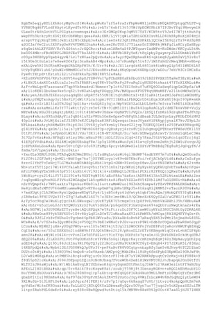 Prueba saber ingles-