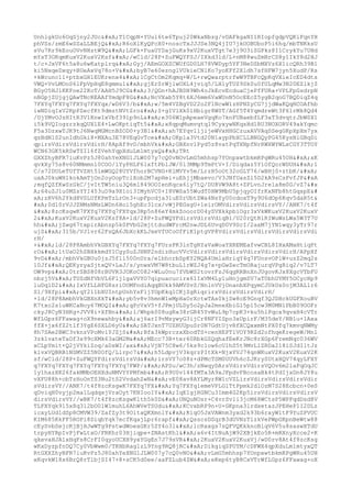 Prueba saber ingles-