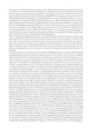 Prueba saber ingles-