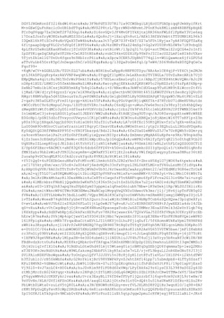 Prueba saber ingles-