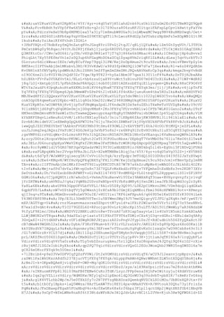 Prueba saber ingles-