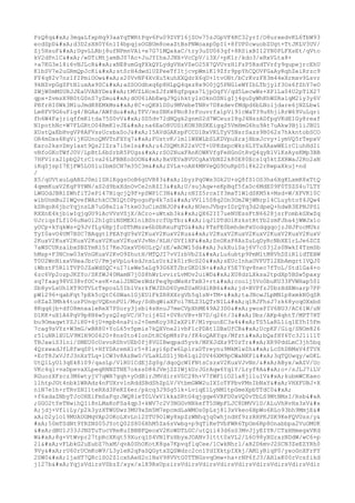 Prueba saber ingles-