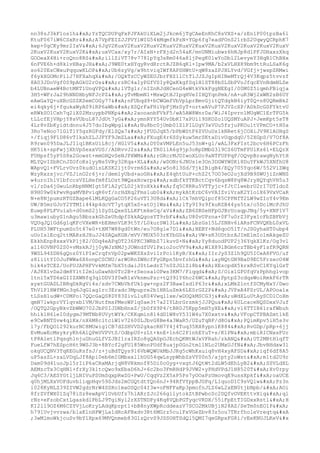 Prueba saber ingles-