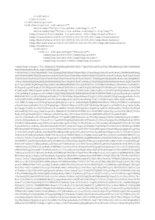 Prueba saber ingles-