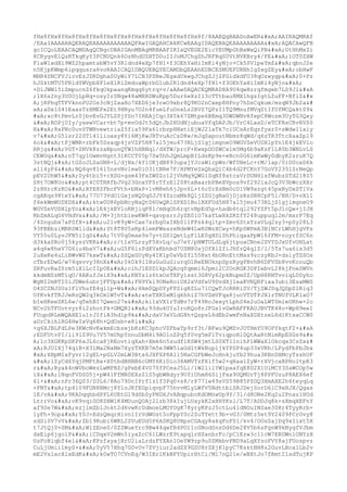 Prueba saber ingles-