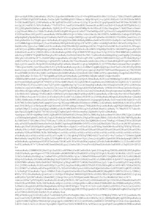 Prueba saber ingles-