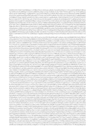 Prueba saber ingles-