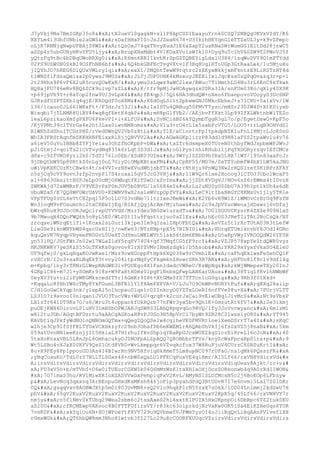 Prueba saber ingles-