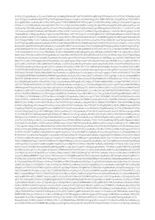 Prueba saber ingles-