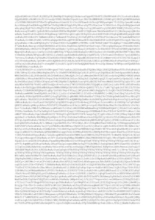 Prueba saber ingles-