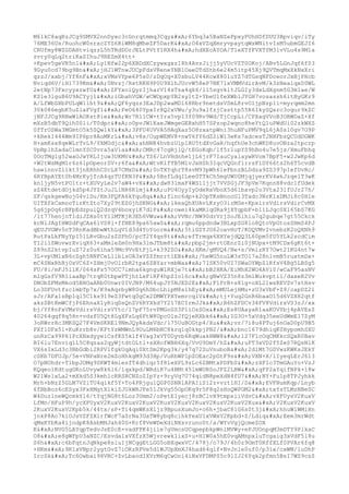 Prueba saber ingles-