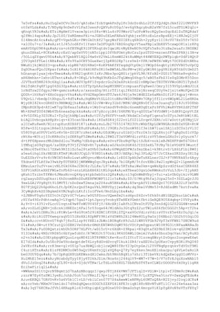 Prueba saber ingles-