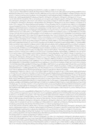 Prueba saber ingles-