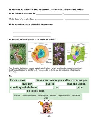 -10-
DE ACUERDO AL ANTERIOR MAPA CONCEPTUAL COMPLETA LAS SIGUIENTES FRASES:
46. La células se clasifican en: __________________________ y _________________________
47. La Eucariota se clasifican en: _________________________ y ________________________
48. La estructura básica de la célula la componen:
______________________________________
______________________________________
______________________________________
49. Observa estas imágenes: ¿Qué tienen en común?
Para describir lo que en realidad ya está explicado en la teoría celular te ayudamos con unas
palabras sueltas que te facilitarán la redacción de un texto que de respuesta a la pregunta
formulada.
50.
 