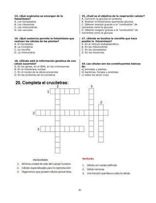 -4-
14. ¿Qué orgánulos se encargan de la
fotosíntesis?
A. Los cloroplastos
B. Los ribosomas
C. Las mitocondrias
D. Las vacuolas
15. ¿Cuál es el objetivo de la respiración celular?
A. Convertir la glucosa en proteína
B. Realizar la fotosíntesis quemando glucosa
C. Obtener energía gracias a la "combustión" de
nutrientes como la glucosa
D. Obtener oxígeno gracias a la "combustión" de
nutrientes como la glucosa
16. ¿Qué sustancia permite la fotosíntesis que
realizan las células de las plantas?
A. El cloroplasto
B. La cromatina
C. La clorofila
D. La mitocondria
17. ¿Dónde se localiza la clorofila que hace
posible la fotosíntesis?
A. En el retículo endoplasmático
B. En las mitocondrias
C. En los cloroplastos
D. En los lisosomas
18. ¿Dónde está la información genética de una
célula eucariota?
A. En los genes, en el ADN, en los cromosomas
B. En la membrana nuclear
C. En el núcleo de la célula procariota
D. En las proteínas de la cromatina
19. Las células son los constituyentes básicos
de:
a) animales y plantas
b) bacterias, hongos y protistas
c) todos los seres vivos
 