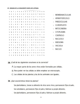 -7-
37. RESUELVE LA SIGUIENTE SOPA DE LETRAS:
 