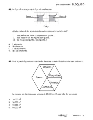 Matemática 25
5º Cuadernillo M1 BLOQUE D
46.	 En la siguiente figura se representan las áreas que ocupan diferentes cultivos en un terreno:
	 La zona de los claveles ocupa un área de 10.000 m2. El área total del 	terreno es
10.000 m2	 	
30.000 m2	 	
50.000 m2	 	
60.000 m2
A.
B.
C.
D.
45. 	La figura 2 es imagen de la figura 1 en el espejo.
	 ¿Cuál o cuáles de las siguientes afirmaciones es o son verdadera(s)?
I.	 Los perímetros de las dos figuras son iguales.
II.	 Las áreas de las dos figuras son iguales.
III.	 La imagen del punto A es el punto B.
I solamente.
II solamente.
I y II solamente.
II y III solamente.
A.
B.
C.
D.
Espejo
Figura 2.Figura 1.
BA
 