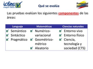 Las pruebas evalúan los siguientes componentes de las
áreas:
Qué se evalúa
Lenguaje Matemáticas Ciencias naturales
Semántico
Sintáctico
Pragmático
Numérico-
variacional
Geométrico-
métrico
Aleatorio
Entorno vivo
Entorno físico
Ciencia,
tecnología y
sociedad (CTS)
 