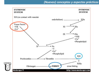 (Nuevos) conceptos y aspectos prácticos
 