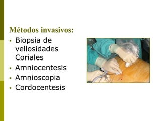 Métodos invasivos:
 Biopsia de
vellosidades
Coriales
 Amniocentesis
 Amnioscopia
 Cordocentesis
 
