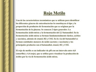 Rojo MetiloUna de las características taxonómicas que se utilizan para identificar los diferentes géneros de enterobacterias lo constituyen el tipo y la proporción de productos de fermentación que se originan por la fermentación de la glucosa. Se conocen 2 tipos generales: La fermentación ácido-mixta y la fermentación del 2,3 butanodiol. En la fermentación ácido mixta se forman fundamentalmente láctico, acético y succínico, además de etanol, H2 y CO2. En la vía del butanodiol se forman cantidades menores de ácido (acetato y succinato) y los principales productos son el butanodiol, etanol, H2 y CO2.  El rojo de metilo es un indicador de pH con un intervalo entre 6,0 (amarillo) y 4,4 (rojo), que se utiliza para visualizar la producción de ácidos por la vía de fermentación ácido mixta.