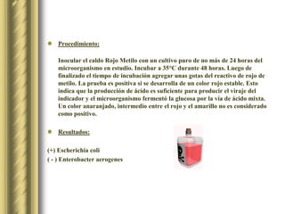 Procedimiento:Inocular el caldo Rojo Metilo con un cultivo puro de no más de 24 horas del microorganismo en estudio. Incubar a 35°C durante 48 horas. Luego de finalizado el tiempo de incubación agregar unas gotas del reactivo de rojo de metilo. La prueba es positiva si se desarrolla de un color rojo estable. Esto indica que la producción de ácido es suficiente para producir el viraje del indicador y el microorganismo fermentó la glucosa por la vía de ácido mixta. Un color anaranjado, intermedio entre el rojo y el amarillo no es considerado como positivo.Resultados:(+) Escherichiacoli ( - ) Enterobacteraerogenes