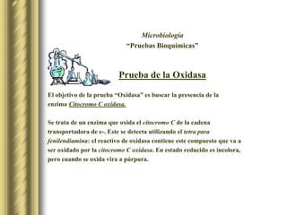 Microbiología“Pruebas Bioquímicas”Prueba de la OxidasaEl objetivo de la prueba “Oxidasa” es buscar la presencia de la enzima Citocromo C oxidasa.Se trata de un enzima que oxida el citocromo C de la cadenatransportadora de e-. Este se detecta utilizando el tetra para  fenilendiamina: el reactivo de oxidasa contiene este compuesto que va a ser oxidado por la citocromo C oxidasa. En estado reducido es incolora, pero cuando se oxida vira a púrpura.