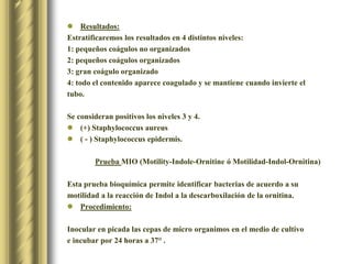 Resultados:Estratificaremos los resultados en 4 distintos niveles:1: pequeños coágulos no organizados2: pequeños coágulos organizados3: gran coágulo organizado4: todo el contenido aparece coagulado y se mantiene cuando invierte el tubo.Se consideran positivos los niveles 3 y 4.(+) Staphylococcusaureus( - ) Staphylococcus epidermis.Prueba MIO (Motility-Indole-Ornitine ó Motilidad-Indol-Ornitina)Esta prueba bioquímica permite identificar bacterias de acuerdo a su motilidad a la reacción de Indol a la descarboxilación de la ornitina.Procedimiento:Inocular en picada las cepas de micro organimos en el medio de cultivo e incubar por 24 horas a 37° .