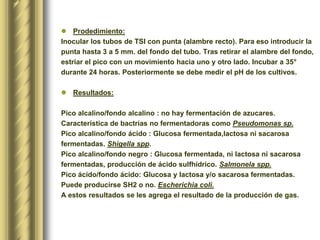 Prodedimiento:Inocular los tubos de TSI con punta (alambre recto). Para eso introducir la punta hasta 3 a 5 mm. del fondo del tubo. Tras retirar el alambre del fondo, estriar el pico con un movimiento hacia uno y otro lado. Incubar a 35° durante 24 horas. Posteriormente se debe medir el pH de los cultivos.Resultados:Pico alcalino/fondo alcalino : no hay fermentación de azucares. Característica de bactrias no fermentadoras como Pseudomonassp.Pico alcalino/fondo ácido : Glucosa fermentada,lactosa ni sacarosa fermentadas. Shigellaspp.Pico alcalino/fondo negro : Glucosa fermentada, ni lactosa ni sacarosa fermentadas, producción de ácido sulfhídrico. Salmonelaspp.Pico ácido/fondo ácido: Glucosa y lactosa y/o sacarosa fermentadas. Puede producirse SH2 o no. Escherichiacoli.A estos resultados se les agrega el resultado de la producción de gas.