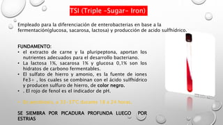 TSI (Triple –Sugar- Iron)
FUNDAMENTO:
• el extracto de carne y la pluripeptona, aportan los
nutrientes adecuados para el desarrollo bacteriano.
• La lactosa 1%, sacarosa 1% y glucosa 0,1% son los
hidratos de carbono fermentables.
• El sulfato de hierro y amonio, es la fuente de iones
Fe3+ , los cuales se combinan con el ácido sulfhídrico
y producen sulfuro de hierro, de color negro.
• . El rojo de fenol es el indicador de pH.
• En aerobiosis, a 33-37°C durante 18 a 24 horas.
SE SIEMBRA POR PICADURA PROFUNDA LUEGO POR
ESTRIAS
Empleado para la diferenciación de enterobacterias en base a la
fermentación(glucosa, sacarosa, lactosa) y producción de acido sulfhídrico.
 