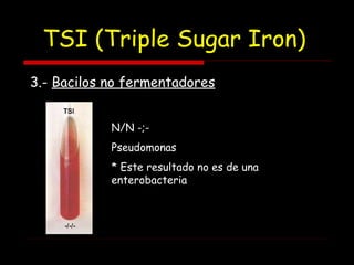 TSI (Triple Sugar Iron)
N/N -;-
Pseudomonas
* Este resultado no es de una
enterobacteria
3.- Bacilos no fermentadores
 