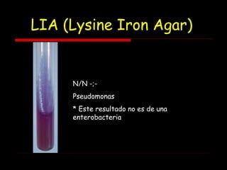 LIA (Lysine Iron Agar)
N/N -;-
Pseudomonas
* Este resultado no es de una
enterobacteria
 