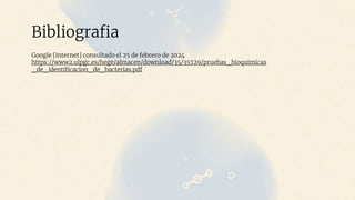 Bibliografia
Google [internet] consultado el 25 de febrero de 2024
https://www2.ulpgc.es/hege/almacen/download/35/35729/pruebas_bioquimicas
_de_identificacion_de_bacterias.pdf
 