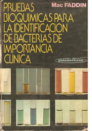 Pruebas bioquimicas para la identificacion de bacterias de importancia clinica