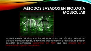 MÉTODOS BASADOS EN BIOLOGÍA
MOLECULAR
Modernamente adquiere más importancia el uso de métodos basados en
biología molecular donde, a través de procedimientos y reactivos, se pueden
detectar determinadas secuencias de ADN que son propias de un
determinado agente microbiano.
 