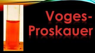 Voges-
Proskauer
 