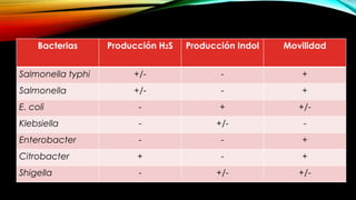 Bacterias Producción H2S Producción Indol Movilidad
Salmonella typhi +/- - +
Salmonella +/- - +
E. coli - + +/-
Klebsiella - +/- -
Enterobacter - - +
Citrobacter + - +
Shigella - +/- +/-
 