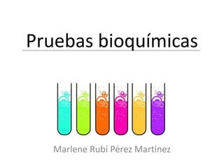 Marlene Rubí Pérez Martinez
Pruebas bioquímicas
 