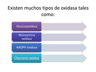 Existen muchos tipos de oxidasa tales
como:
Glucosaoxidasa
Monoamina
oxidasa
NADPH oxidasa
Citocromo oxidasa
 