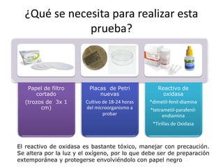 ¿Qué se necesita para realizar esta
prueba?
El reactivo de oxidasa es bastante tóxico, manejar con precaución.
Se altera por la luz y el oxígeno, por lo que debe ser de preparación
extemporánea y protegerse envolviéndolo con papel negro
Papel de filtro
cortado
(trozos de 3x 1
cm)
Placas de Petri
nuevas
Cultivo de 18-24 horas
del microorganismo a
probar
Reactivo de
oxidasa
*dimetil-fenil-diamina
*tetrametil-parafenil-
endiamina
*Tirillas de Oxidasa
 
