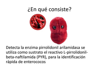 ¿En qué consiste?
Detecta la enzima pirrolidonil arilamidasa se
utiliza como sustrato el reactivo L-pirrolidonil-
beta-naftilamida (PYR), para la identificación
rápida de enterococos
 