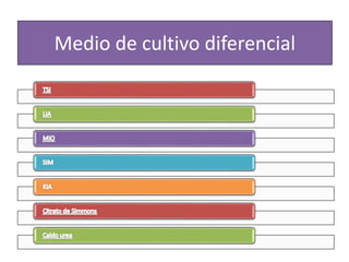 Medio de cultivo diferencial
 