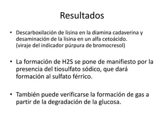 Resultados
• Descarboxilación de lisina en la diamina cadaverina y
desaminación de la lisina en un alfa cetoácido.
(viraje del indicador púrpura de bromocresol)
• La formación de H2S se pone de manifiesto por la
presencia del tiosulfato sódico, que dará
formación al sulfato férrico.
• También puede verificarse la formación de gas a
partir de la degradación de la glucosa.
 