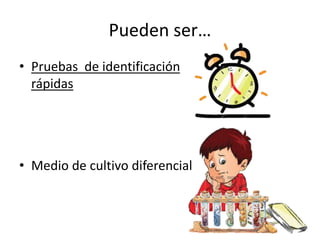 Pueden ser…
• Pruebas de identificación
rápidas
• Medio de cultivo diferencial
 