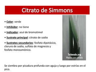 • Color: verde
• Inhibidor: no tiene
• Indicador: azul de bromotimol
• Sustrato principal: citrato de sodio
• Sustratos secundarios: fosfato dipotásico,
cloruro de sodio, sulfato de magnesio y
fosfato monoamónico.
Se siembra por picadura profunda con aguja y luego por estrías en el
pico.
 