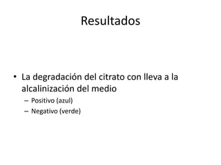 Resultados
• La degradación del citrato con lleva a la
alcalinización del medio
– Positivo (azul)
– Negativo (verde)
 