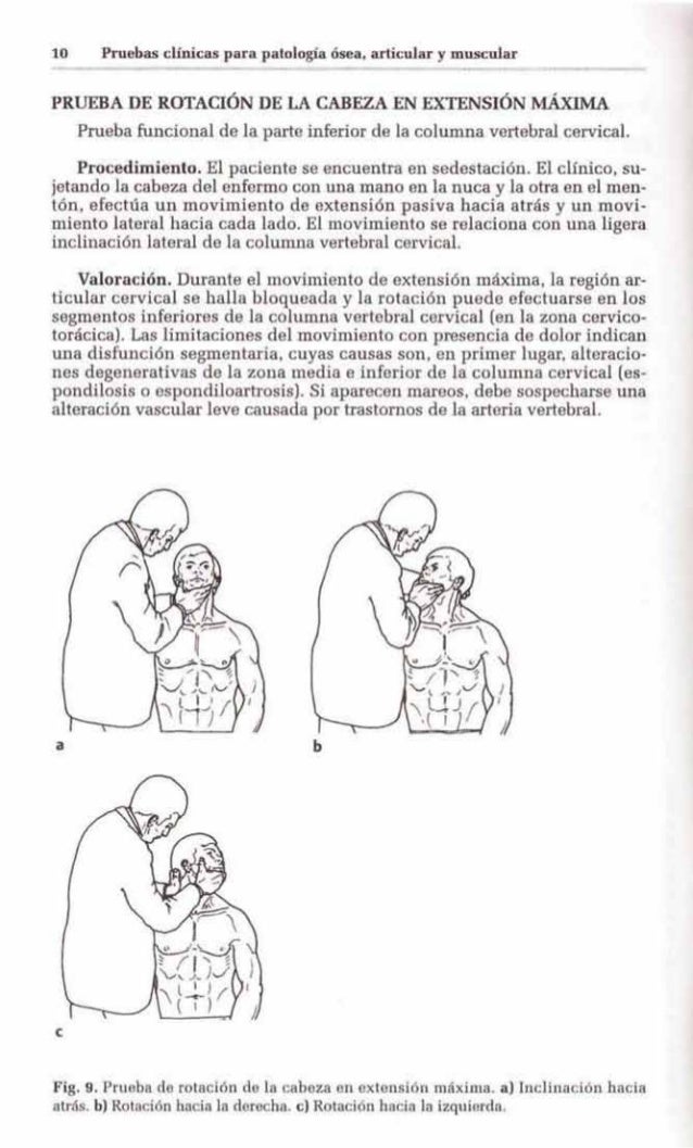 El embarazo duele los riñones en el trabajo
